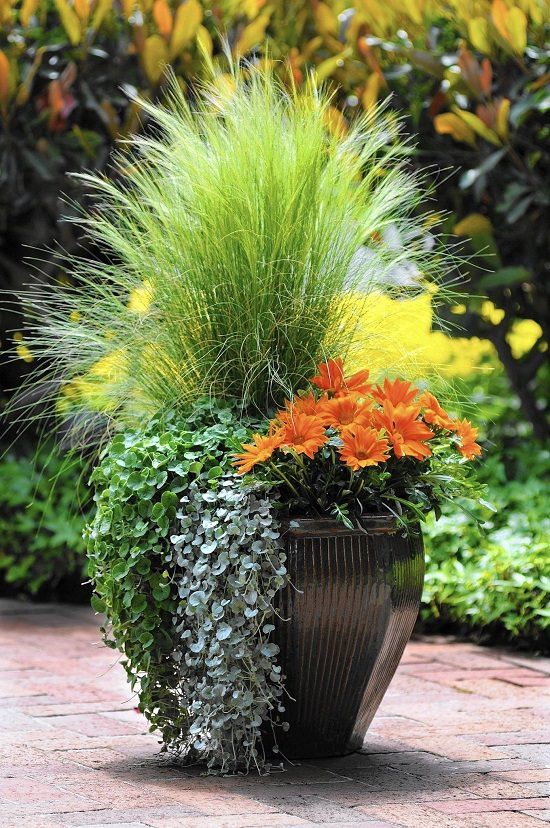 Front Porch Flower Pot Ideas