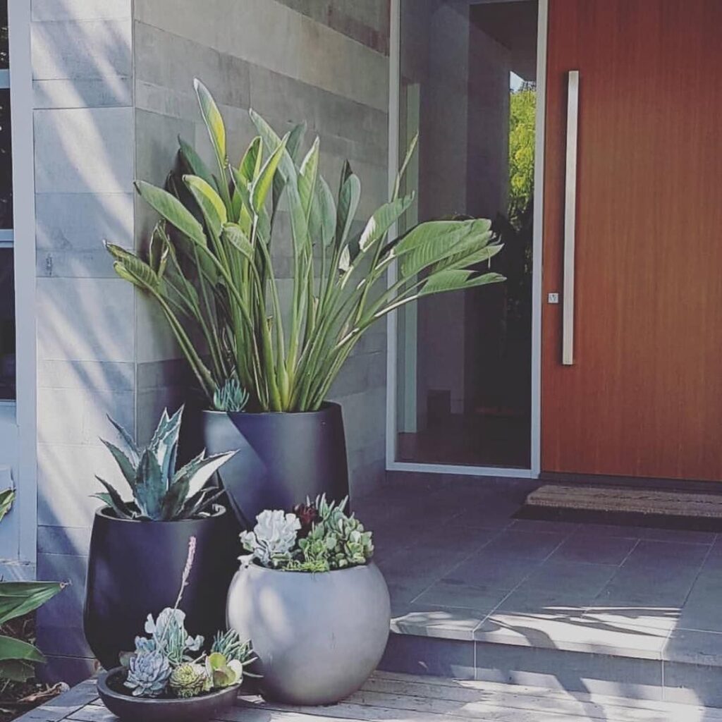 Front Porch Flower Pot Ideas