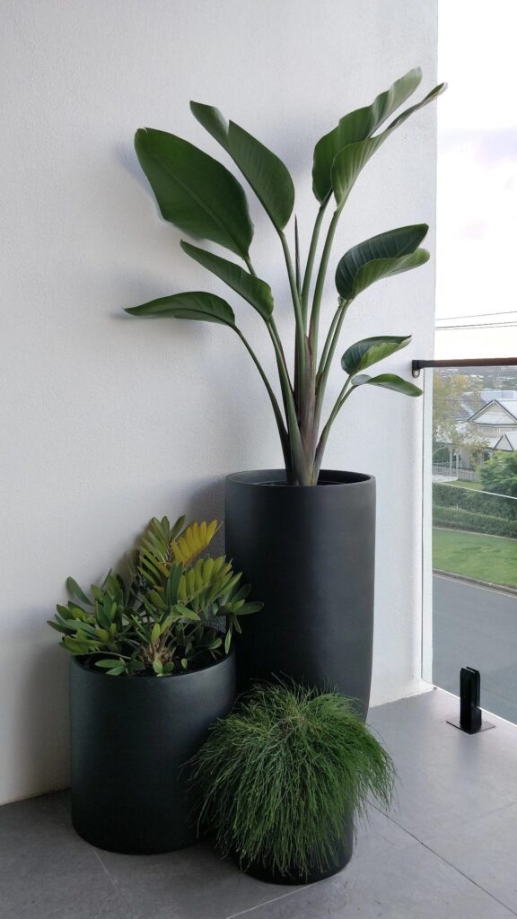 Front Porch Flower Pot Ideas