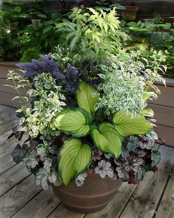 Front Porch Flower Pot Ideas