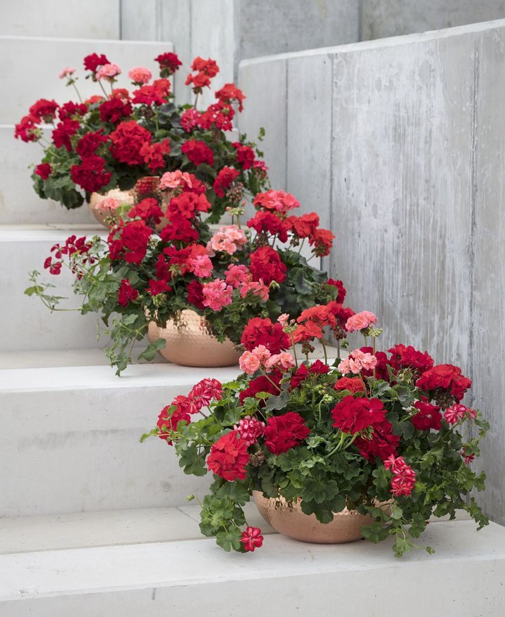 Front Porch Flower Pot Ideas