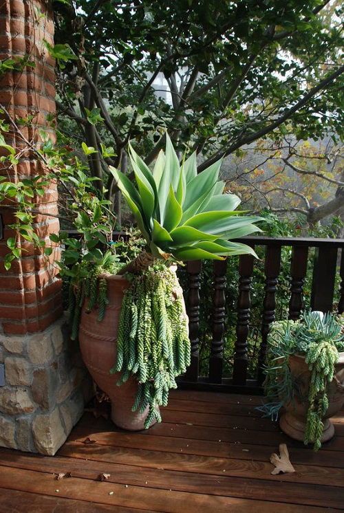 Front Porch Flower Pot Ideas