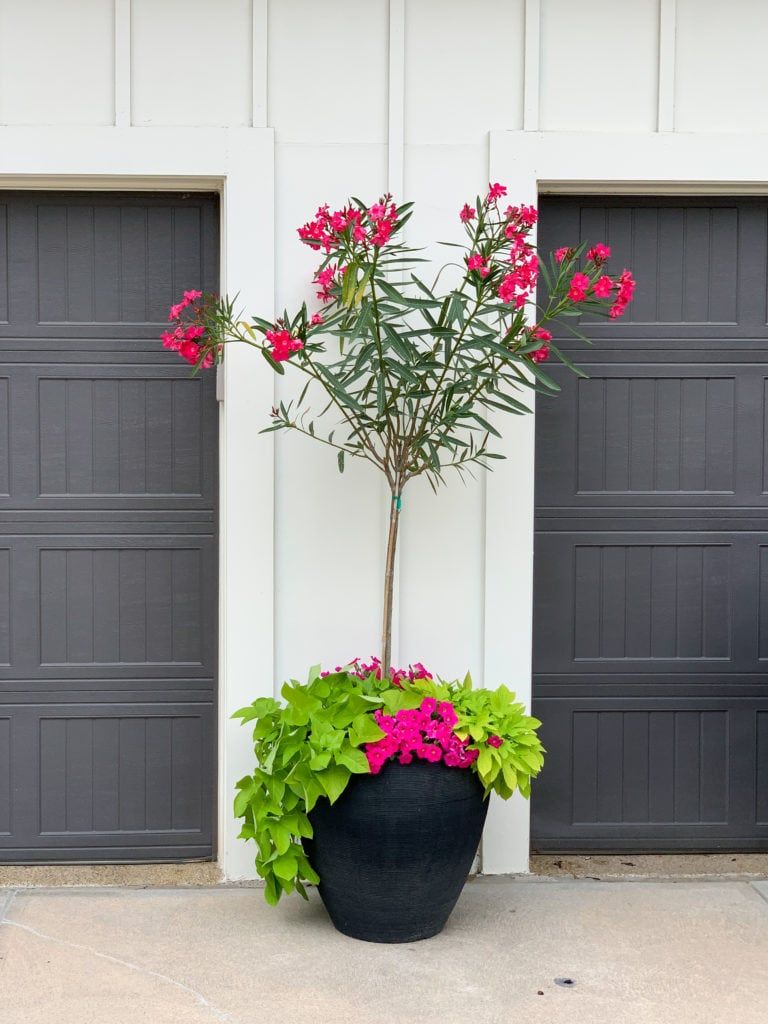 Front Porch Flower Pot Ideas