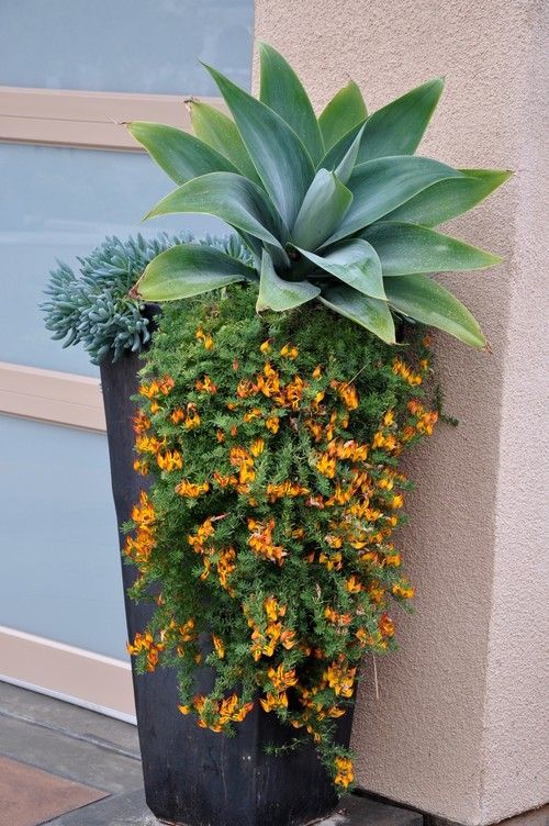 Front Porch Flower Pot Ideas