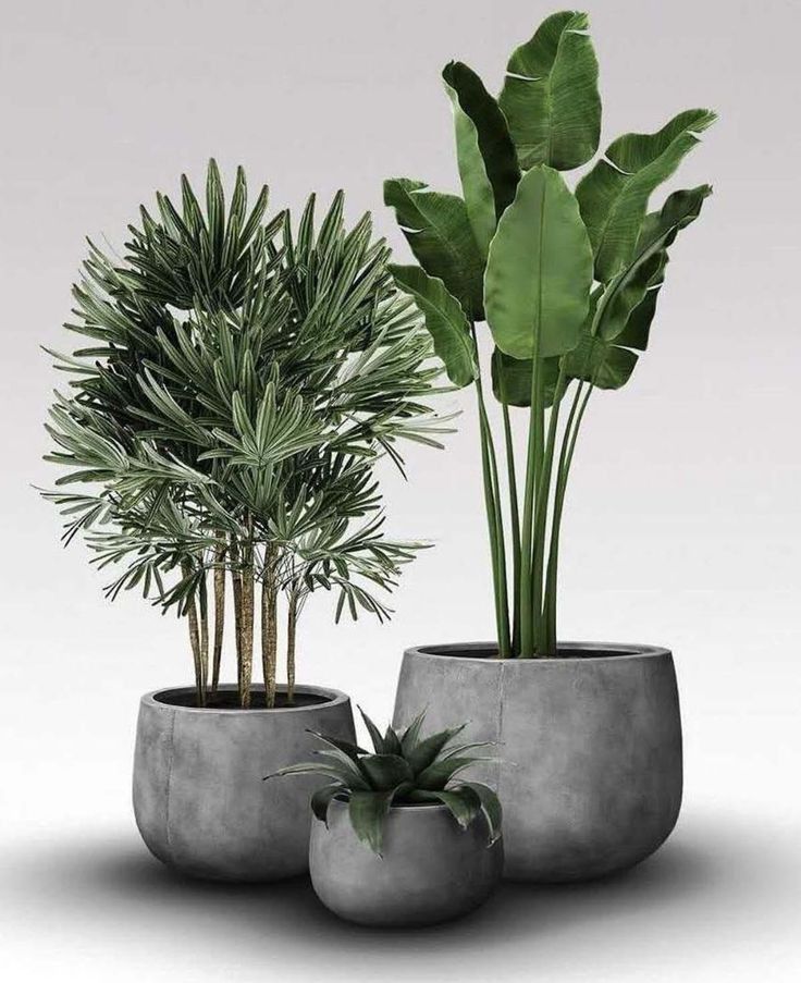 Front Porch Flower Pot Ideas