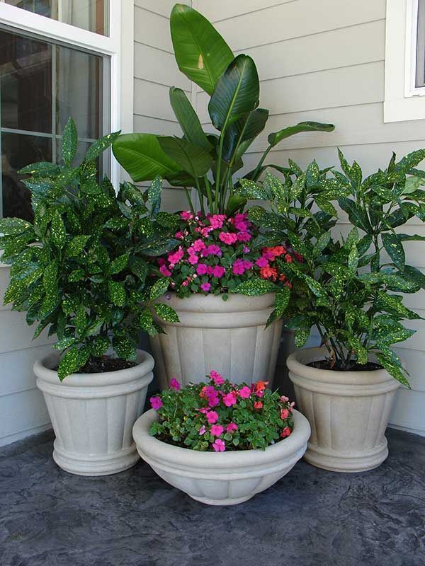 Front Porch Flower Pot Ideas