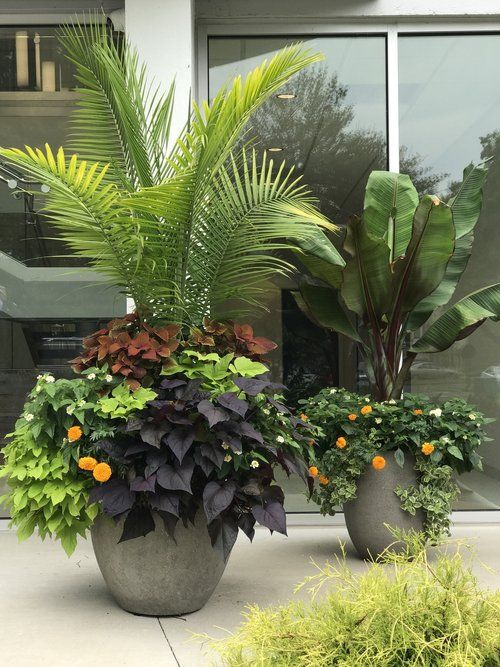 Front Porch Flower Pot Ideas