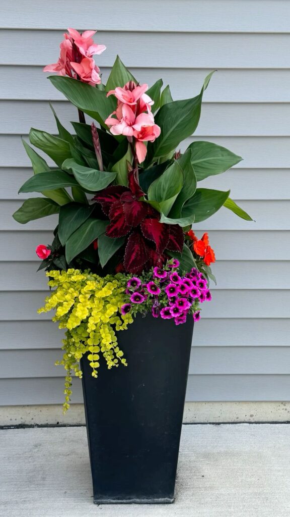 Front Porch Flower Pot Ideas