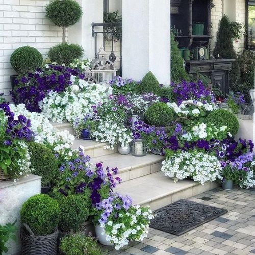 Front Porch Flower Pot Ideas