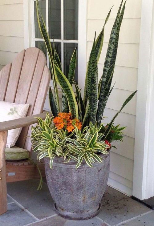 Front Porch Flower Pot Ideas