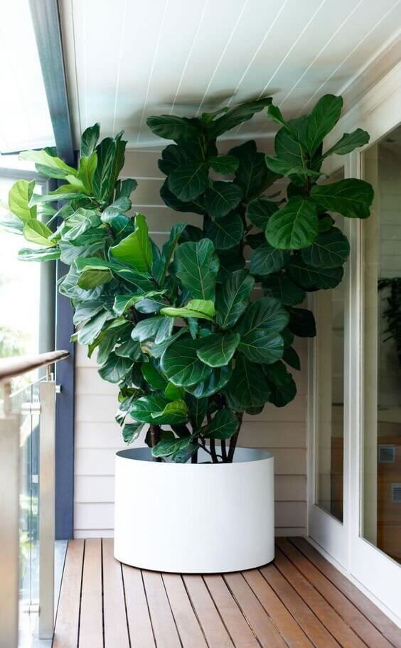 Front Porch Flower Pot Ideas