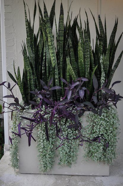 Front Porch Flower Pot Ideas