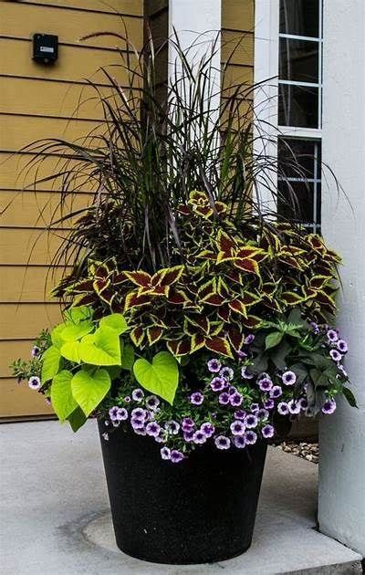 Front Porch Flower Pot Ideas