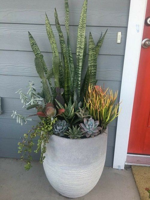 Front Porch Flower Pot Ideas