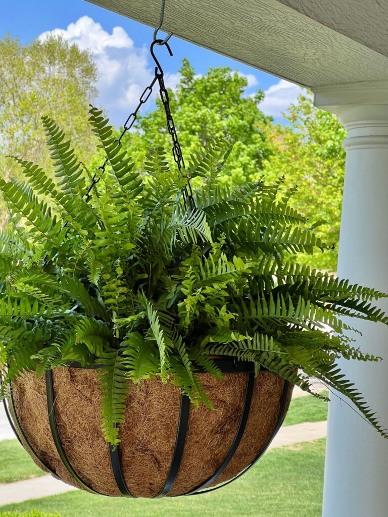 Front Porch Flower Pot Ideas