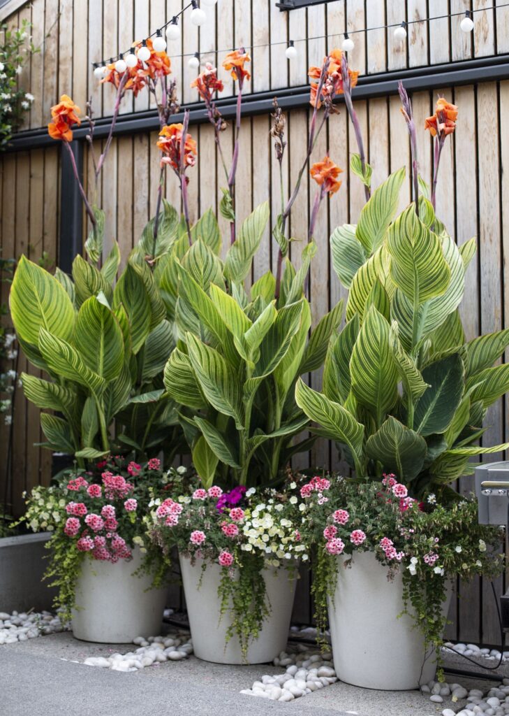 Front Porch Flower Pot Ideas