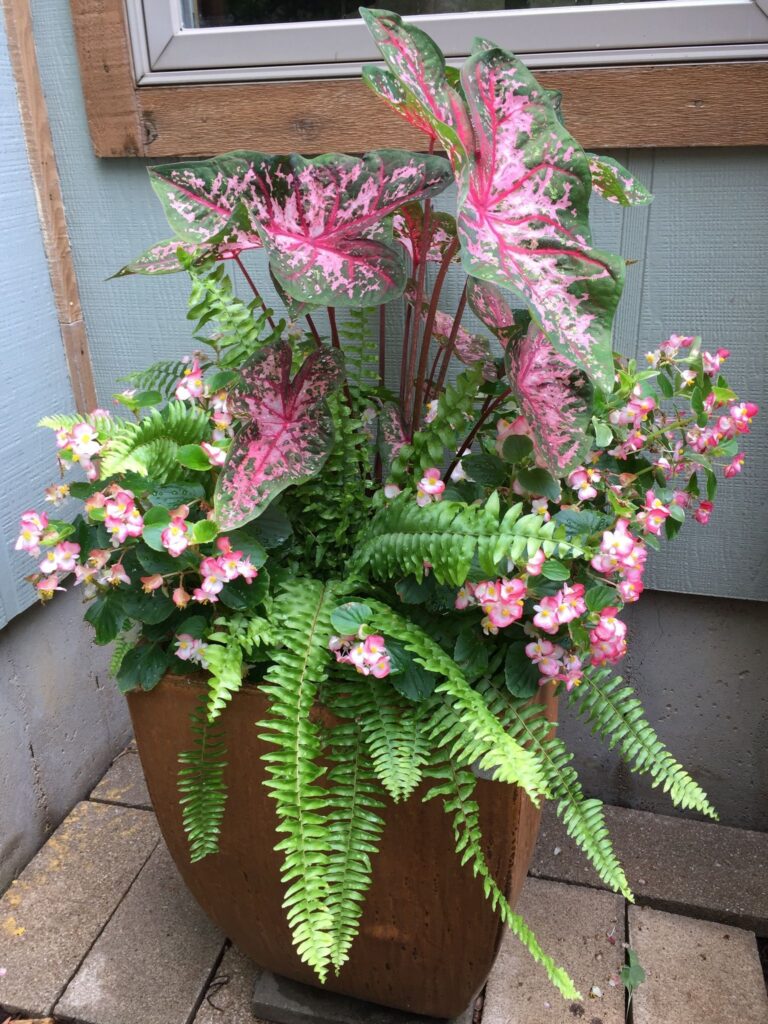Front Porch Flower Pot Ideas