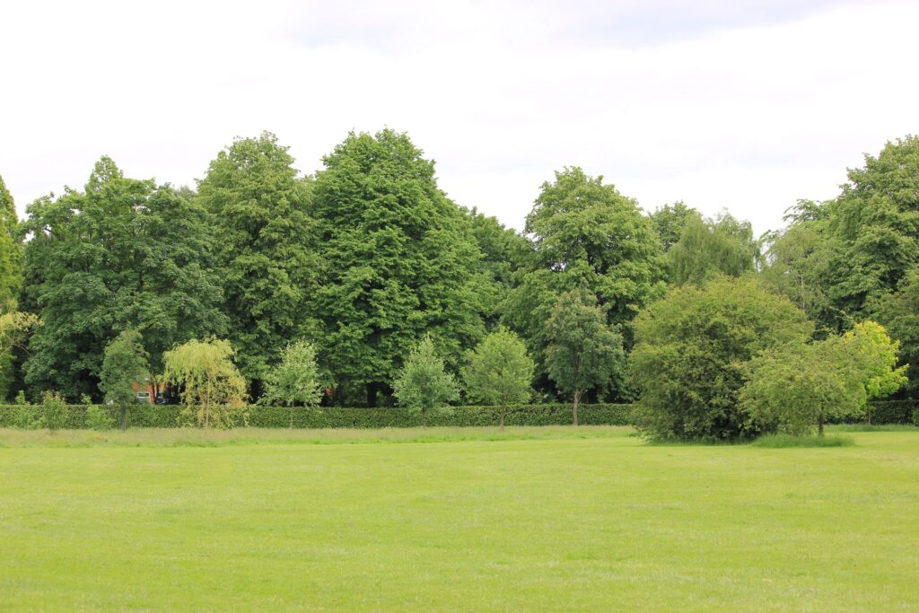 Frontyard Landscape Layouts