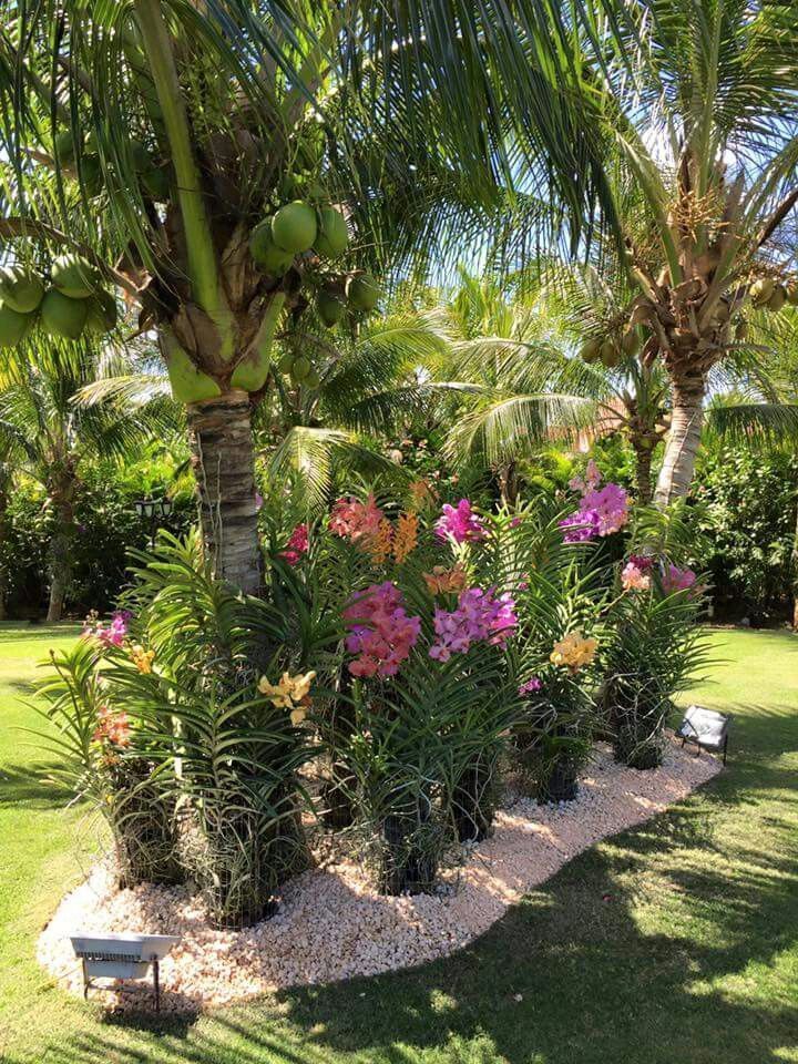 Frontyard Landscape Layouts