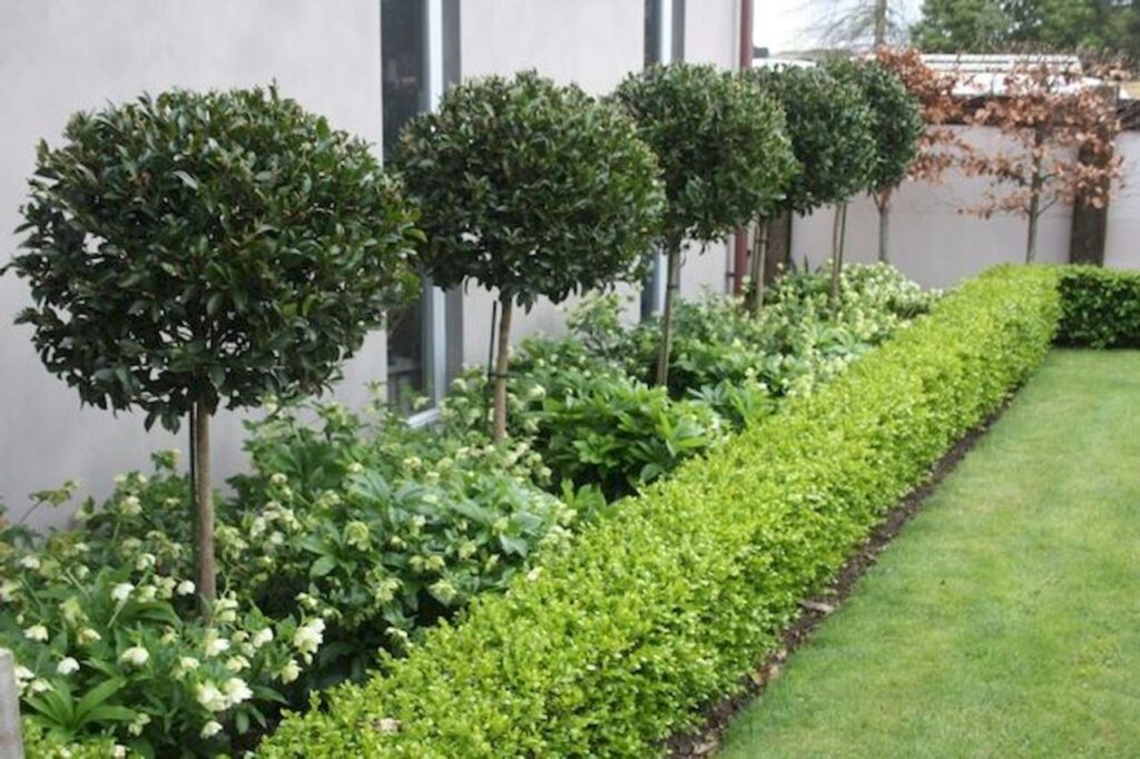 Frontyard Landscape Layouts