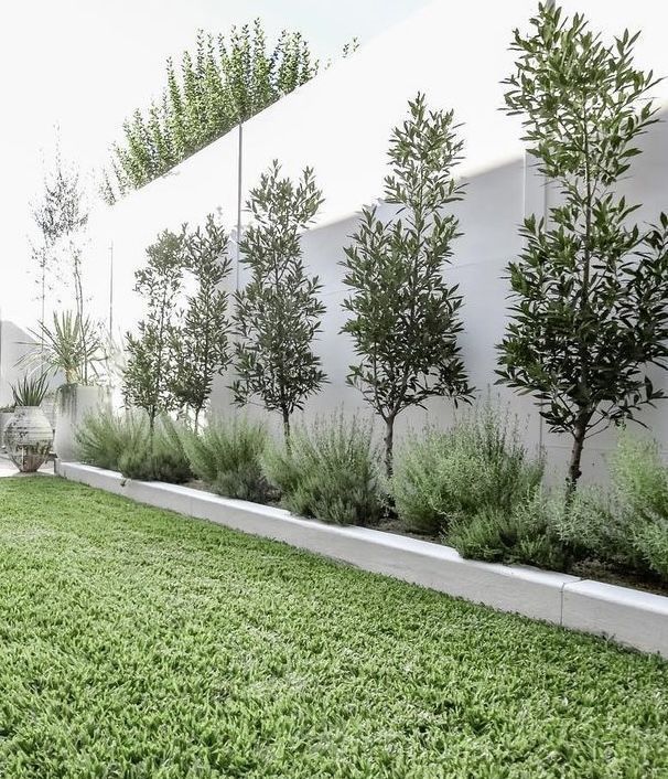 Frontyard Landscape Layouts