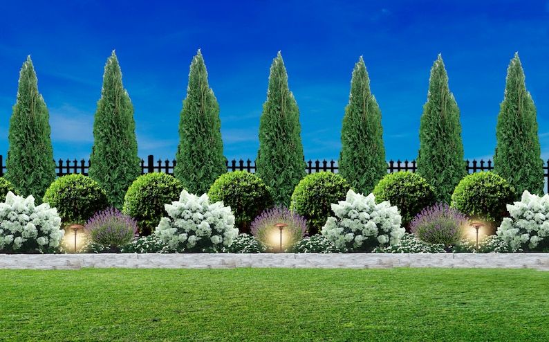 Frontyard Landscape Layouts