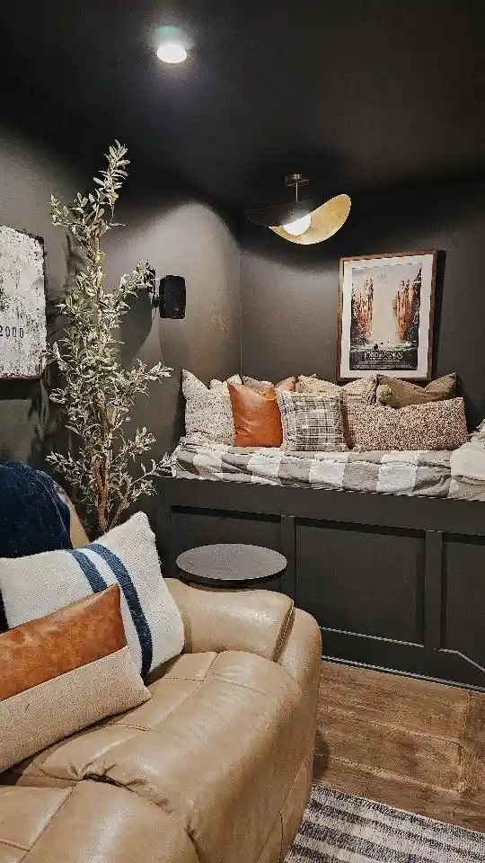 Small Theater Room Ideas