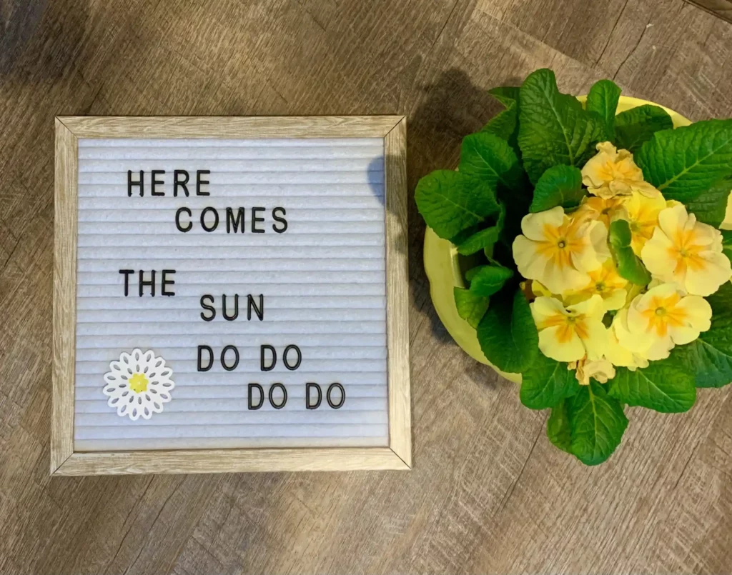 Spring Letter Board Quotes