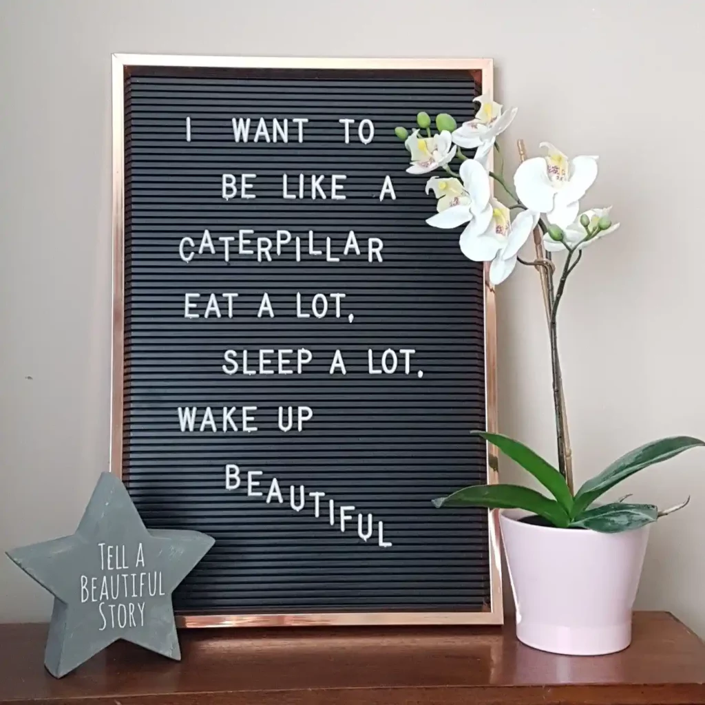 Spring Letter Board Quotes