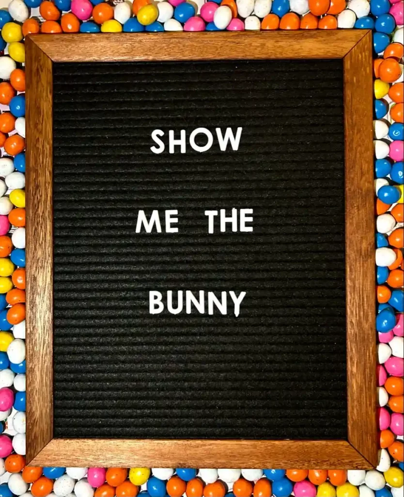 Spring Letter Board Quotes