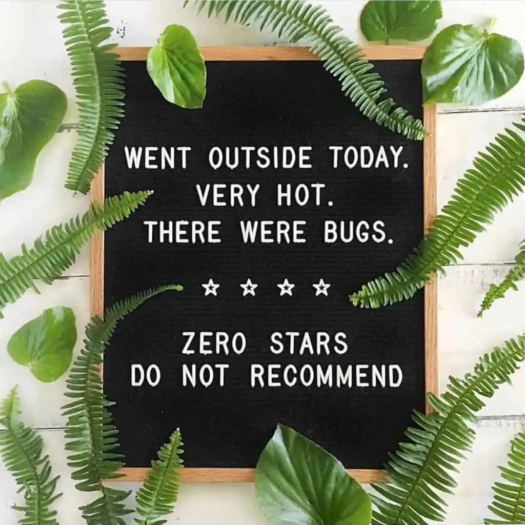 Spring Letter Board Quotes
