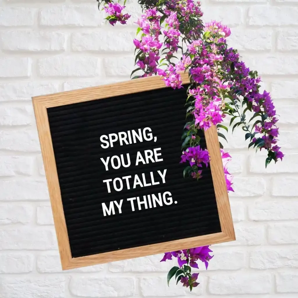 Spring Letter Board Quotes