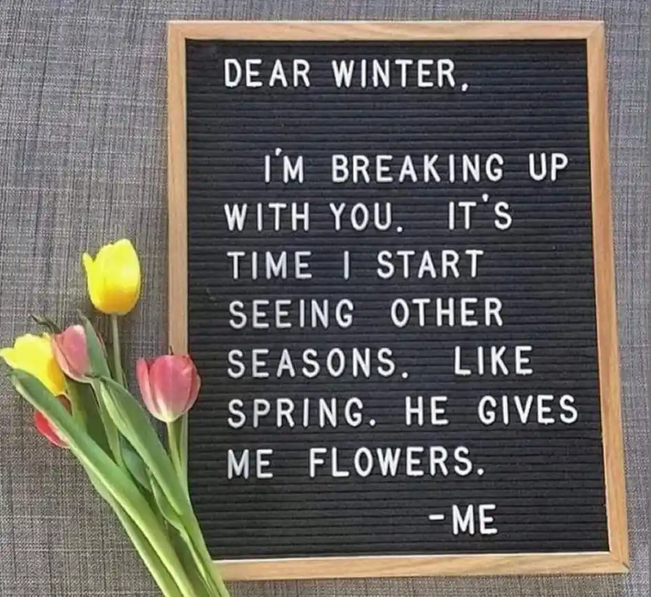 Spring Letter Board Quotes