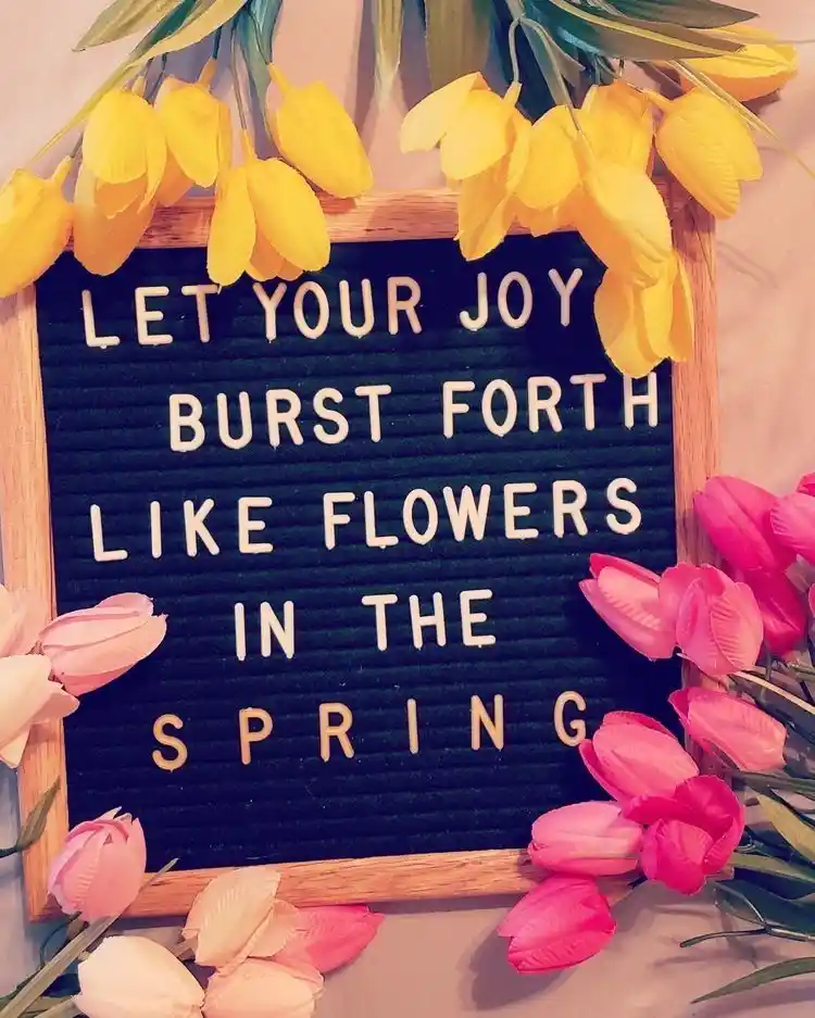 Spring Letter Board Quotes