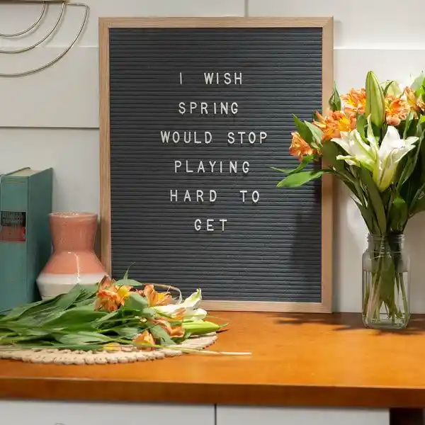 Spring Letter Board Quotes