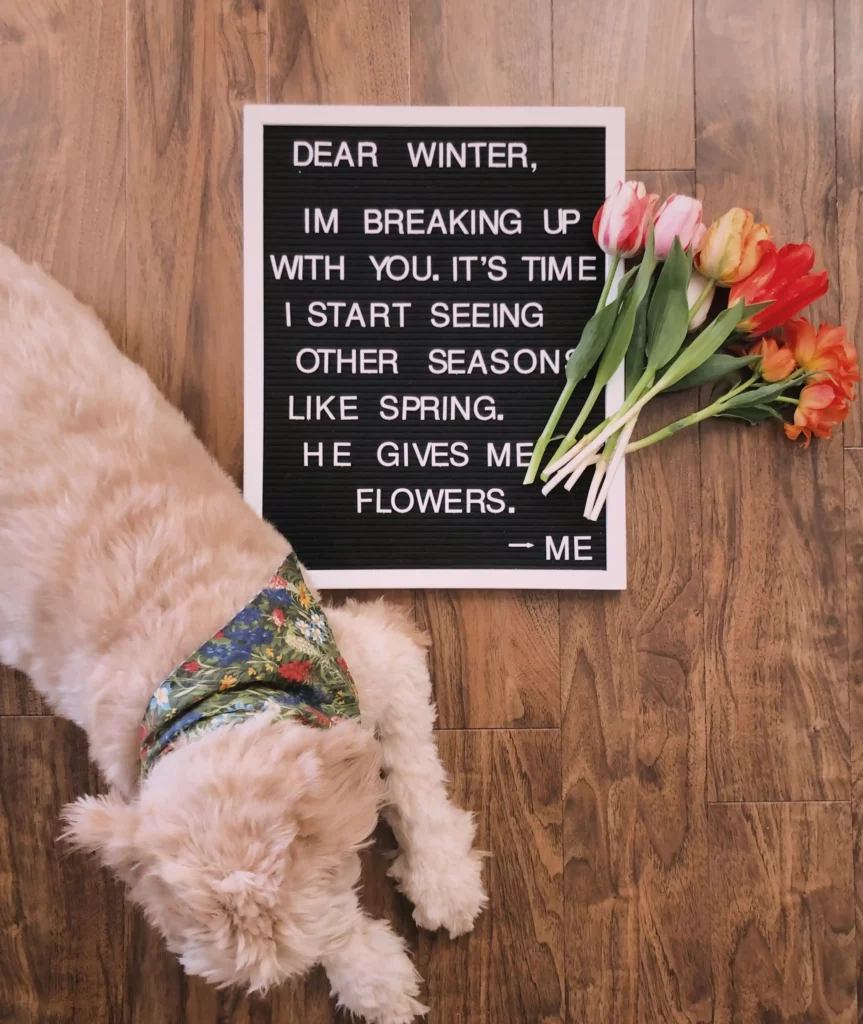 Spring Letter Board Quotes