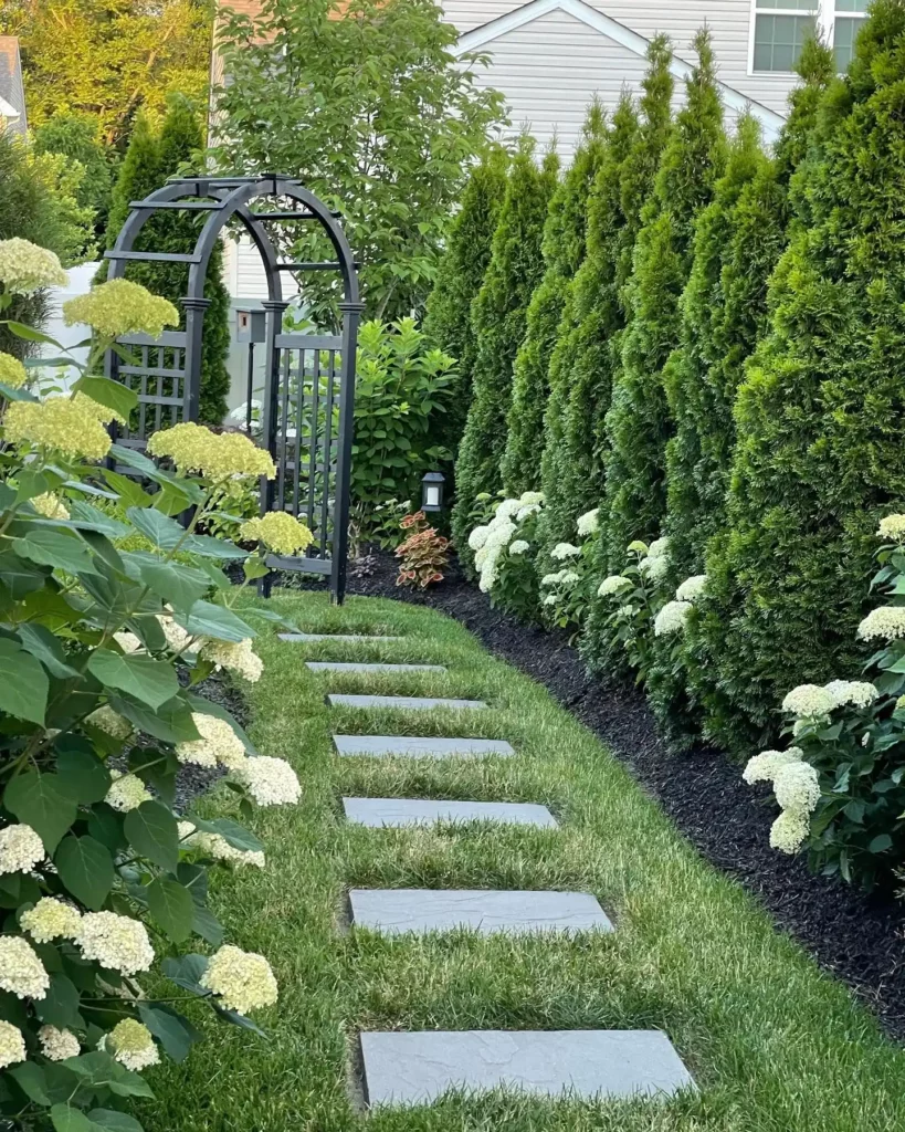 Front House Landscaping