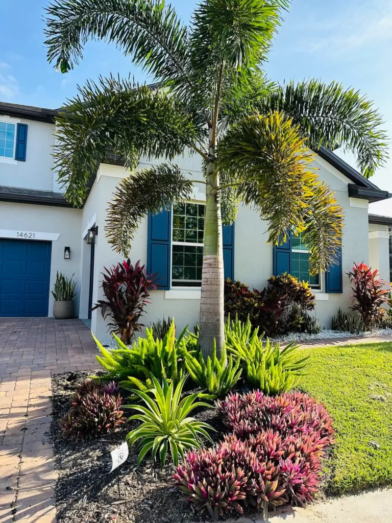 Front House Landscaping