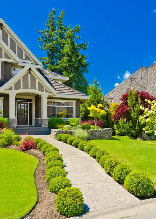 Front House Landscaping