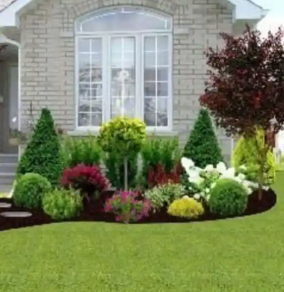 Front House Landscaping