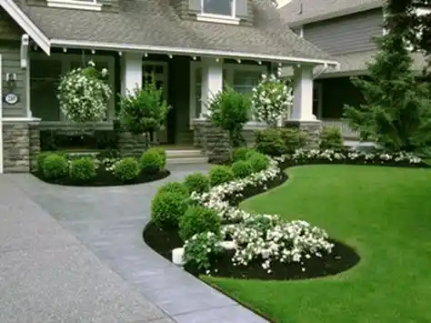 Front House Landscaping