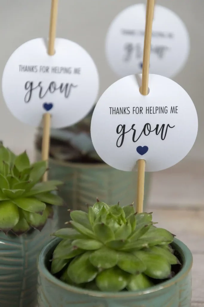 Teacher Appreciation Gifts